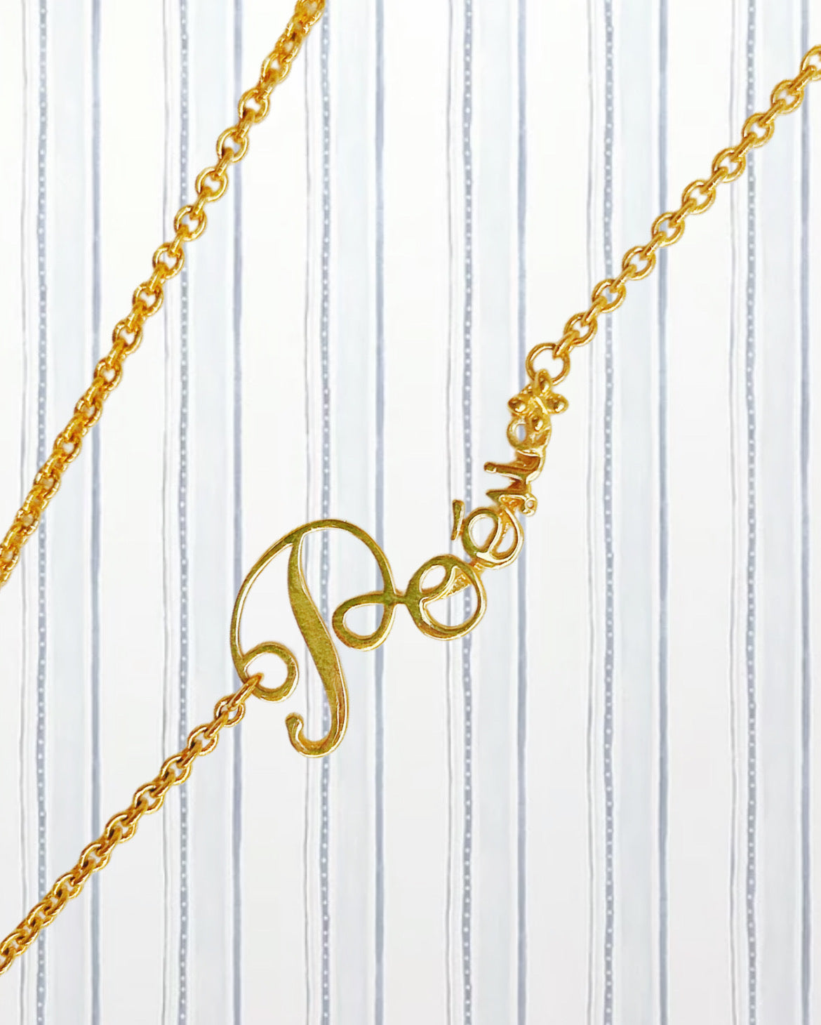 DRAGONFLY’S SECRET GARDEN POEM NECKLACE